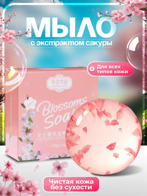 ba77854f-e092-4a17-a628-d6fe8f838aa8